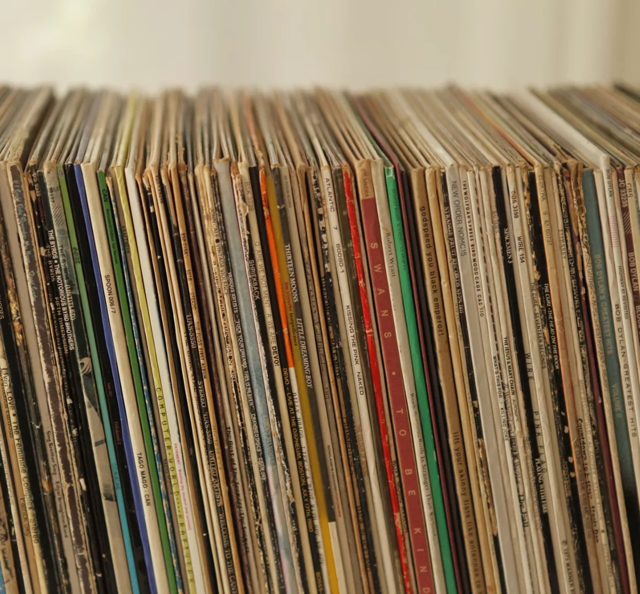 a cat next to vinyl records
